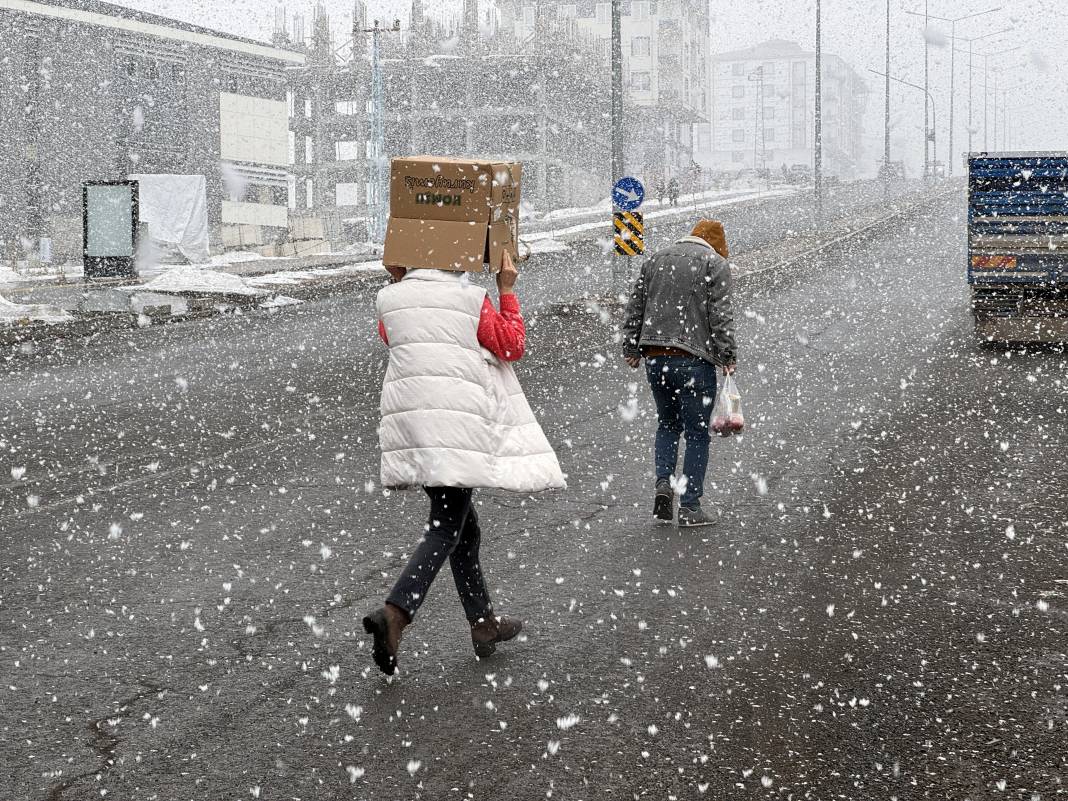 Erzurum, Ardahan ve Kars'ta kar yağışı etkili oluyor 1